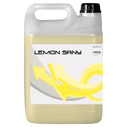 Detergente lavapiatti a mano sanitizzante - Lemon Sany